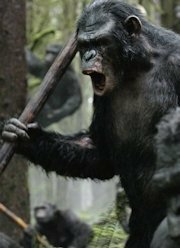 apes
