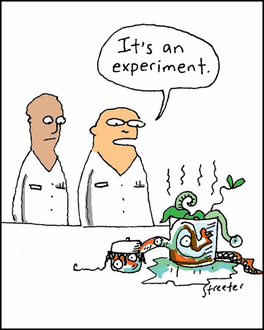 experiment