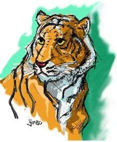 tiger