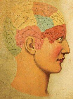 brains